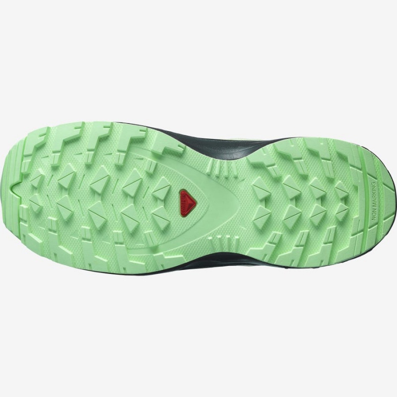 Zapatillas de Senderismo Salomon XA PRO V8 CLIMASALOMON™ WATERPROOF Niños Verde | EC3588NWY