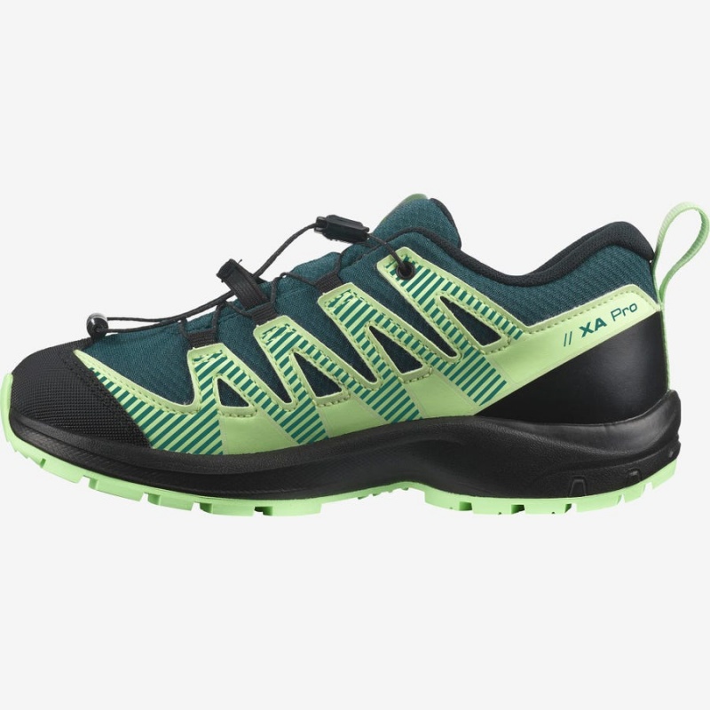 Zapatillas de Senderismo Salomon XA PRO V8 CLIMASALOMON™ WATERPROOF Niños Verde | EC3588NWY