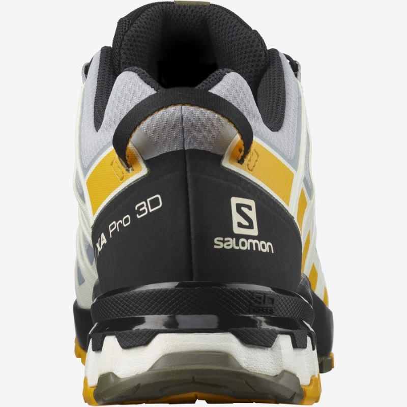 Zapatillas de Senderismo Salomon XA PRO 3D v8 GORE-TEX Hombre Plateadas | EC2040WNB