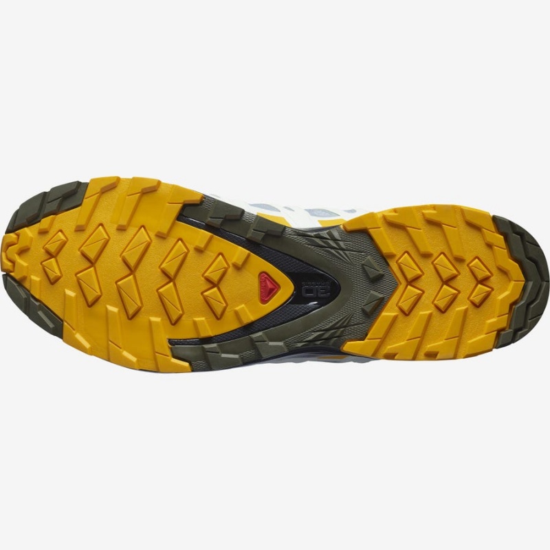 Zapatillas de Senderismo Salomon XA PRO 3D v8 GORE-TEX Hombre Plateadas | EC2040WNB